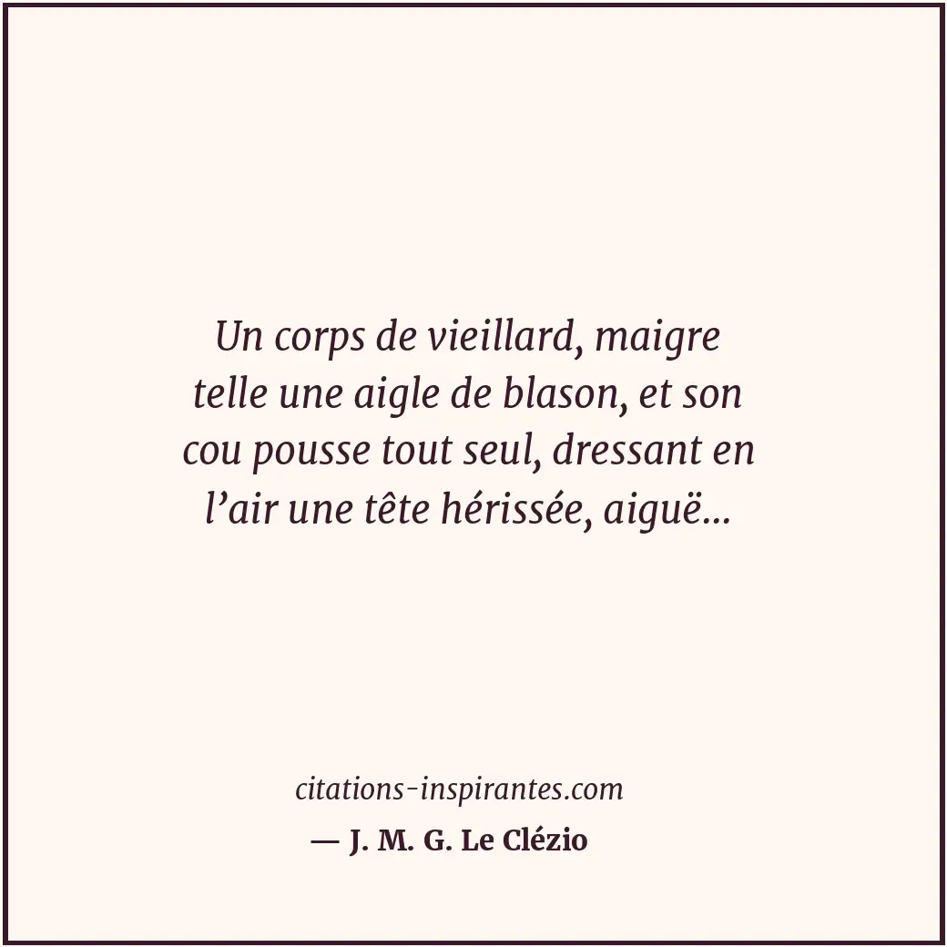 Citation de J. M. G. Le Clézio