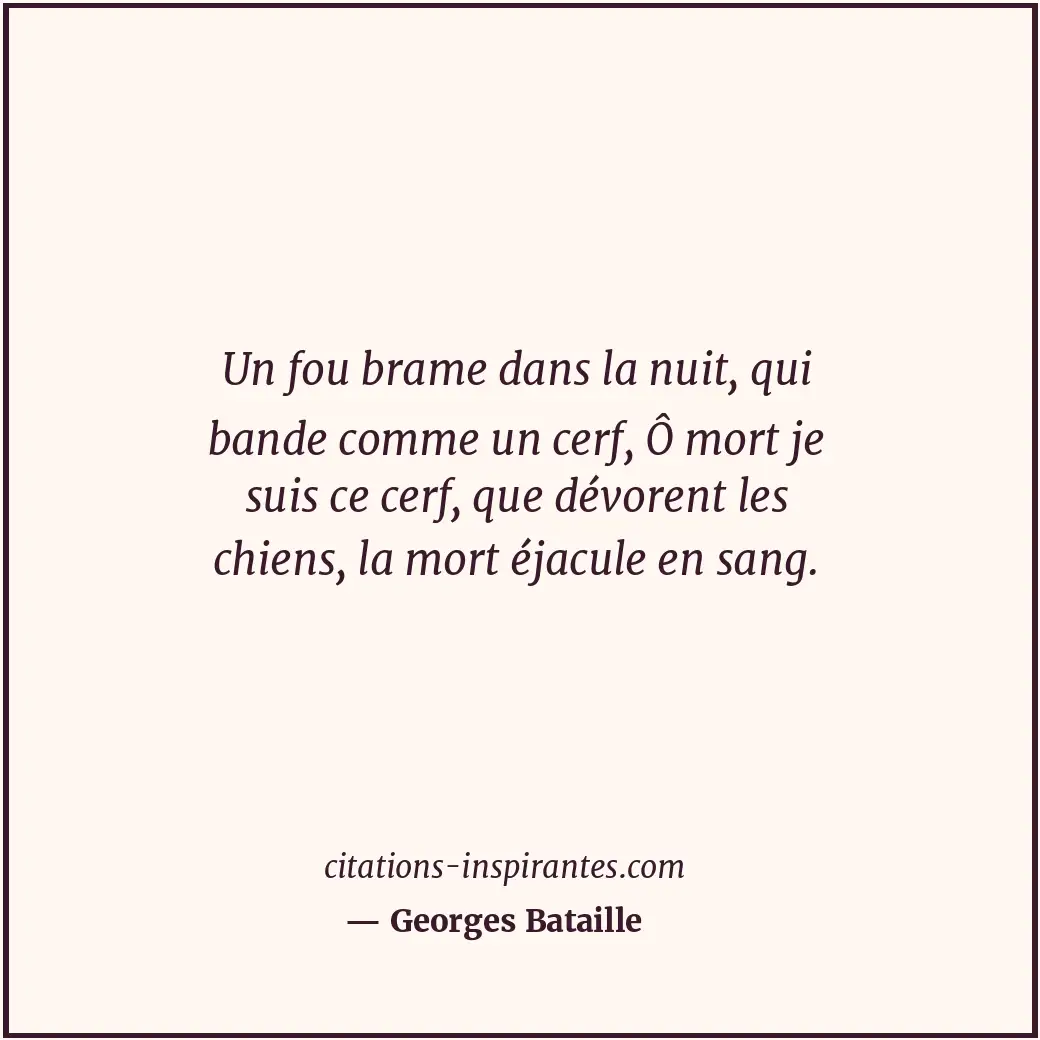 Citation de Georges Bataille