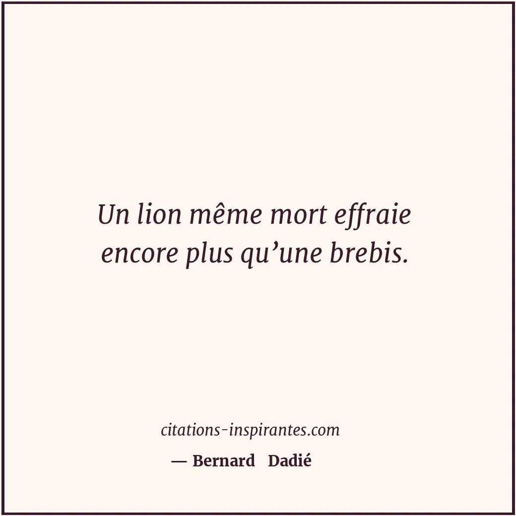 Un lion même mort effraie encore plus qu’une brebis. Citation de Bernard Dadié