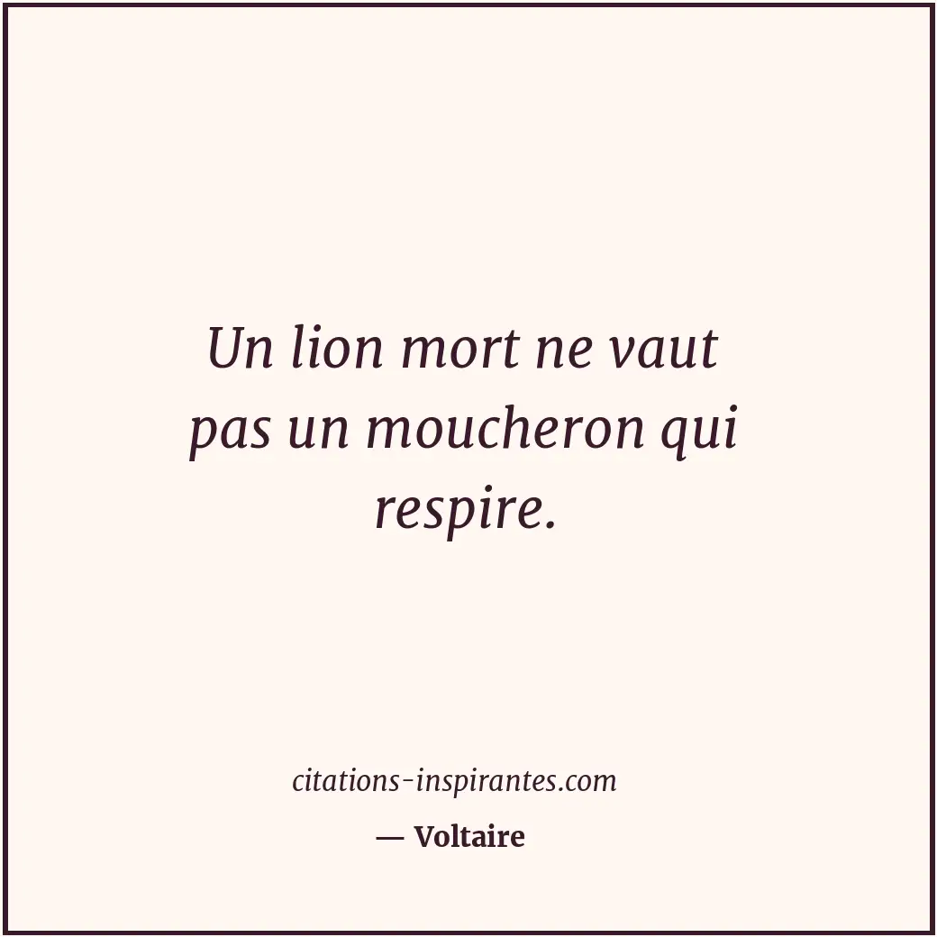Citation de Voltaire