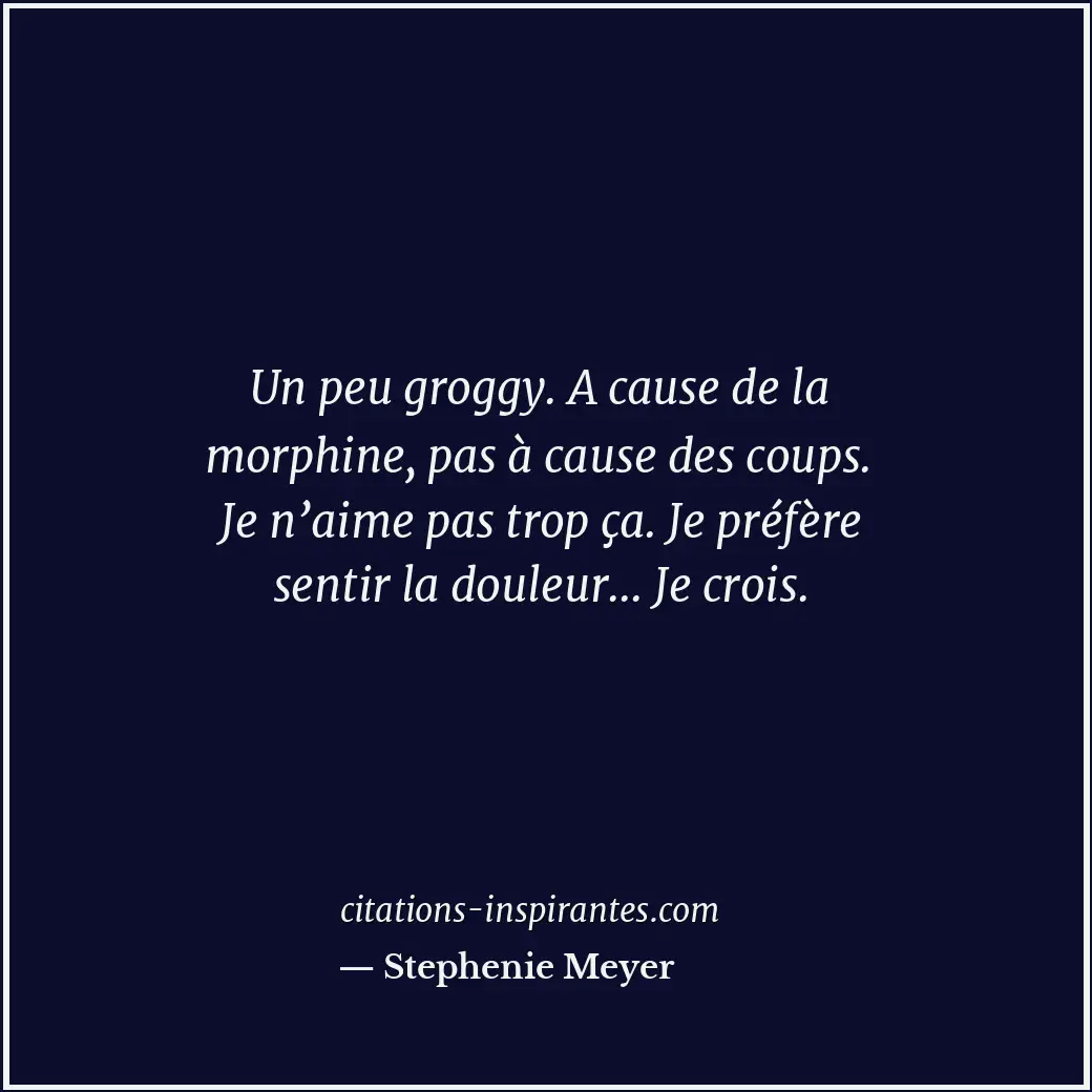 Un peu groggy. A cause de la morphine, pas à cause des coups. Je n’aime pas trop... Citation de Stephenie Meyer