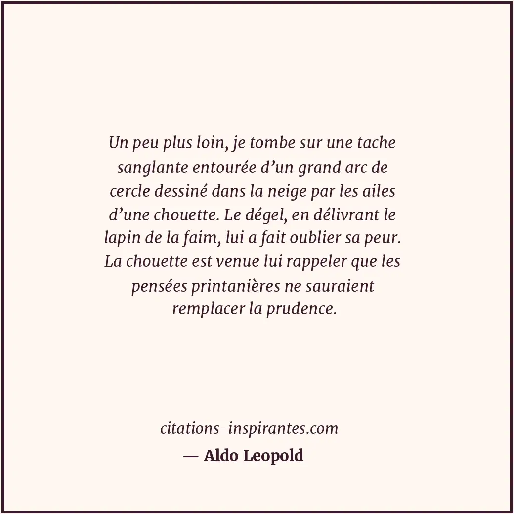 Citation de Aldo Leopold