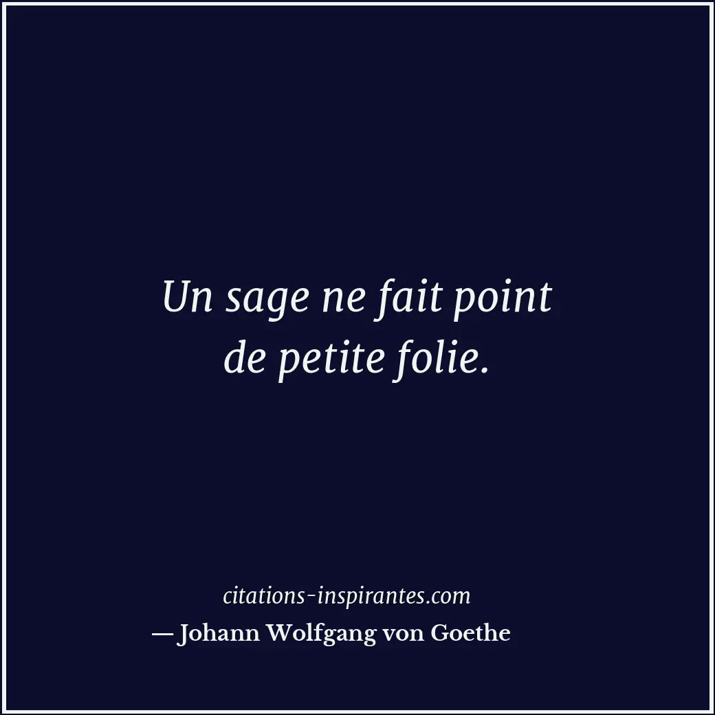 Un sage ne fait point de petite folie. Citation de Johann Wolfgang von Goethe
