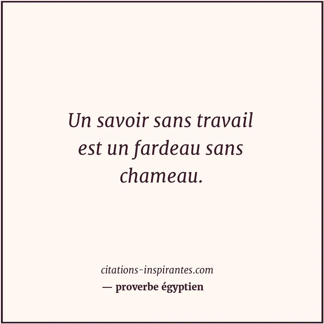 Un savoir sans travail est un fardeau sans chameau. Citation de proverbe égyptien