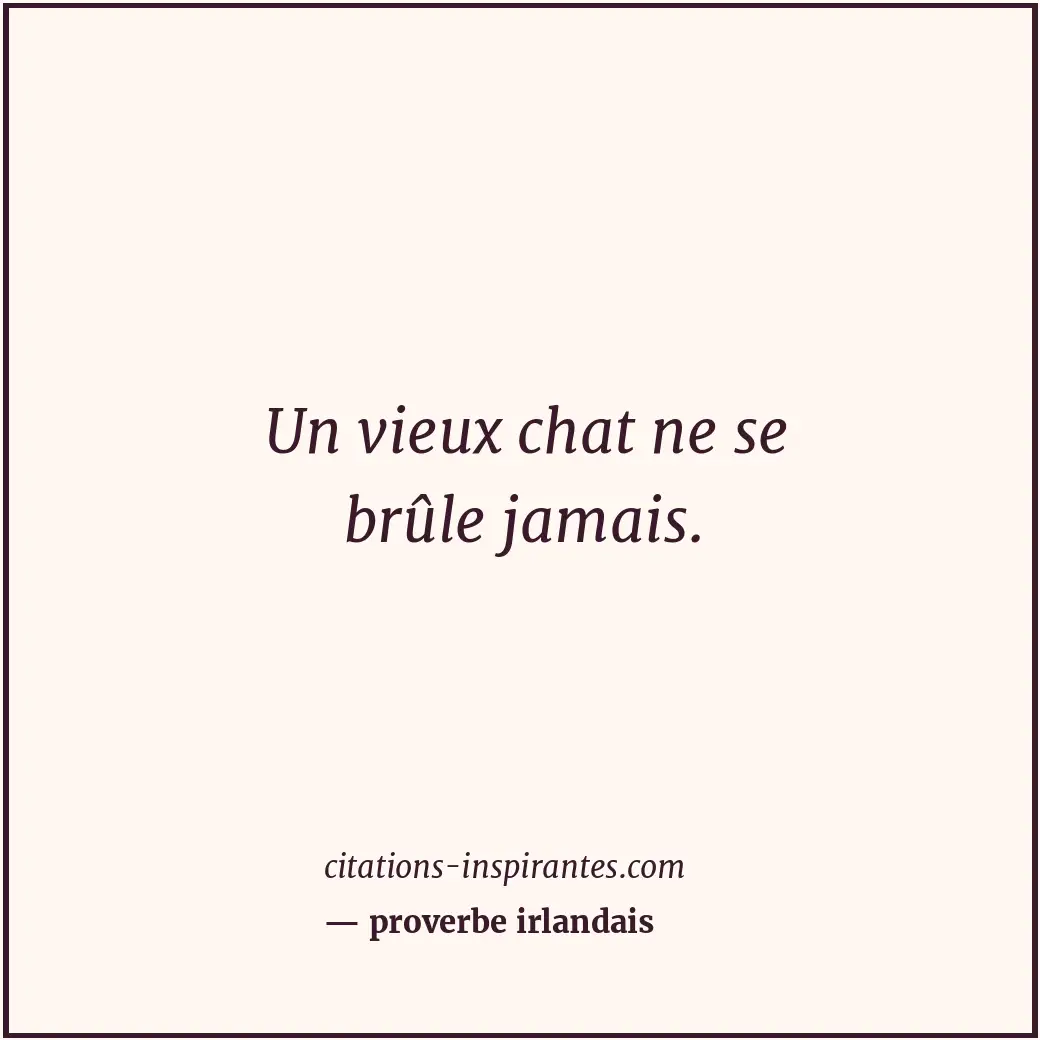 Un vieux chat ne se brûle jamais. Citation de proverbe irlandais