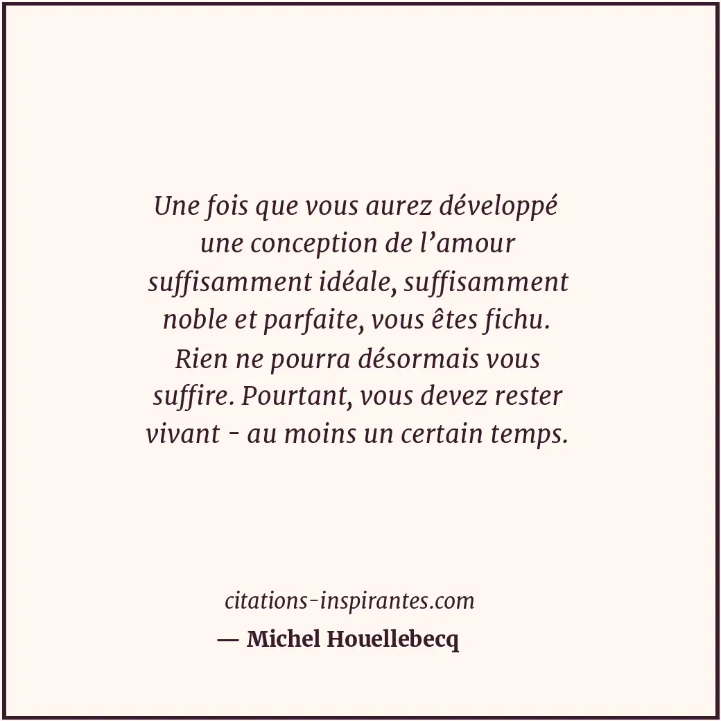 Une fois que vous aurez développé une conception de l’amour suffisamment idéale,... Citation de Michel Houellebecq