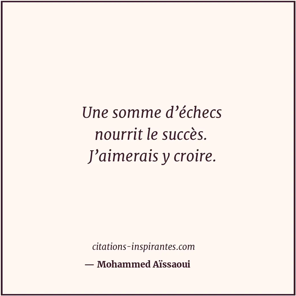 Une somme d’échecs nourrit le succès. J’aimerais y croire. Citation de Mohammed Aïssaoui