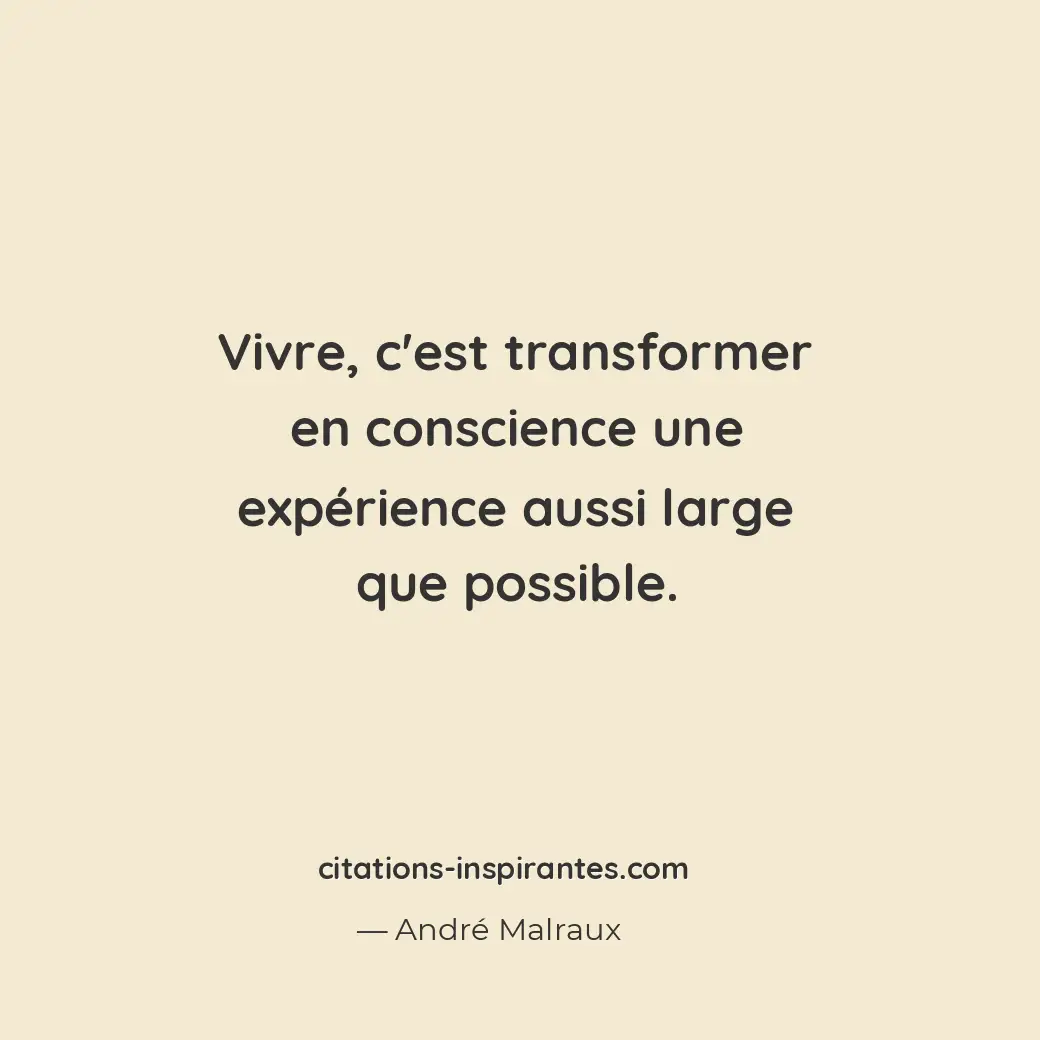 Vivre, c’est transformer en conscience une expérience aussi large que possible. Citation de André Malraux