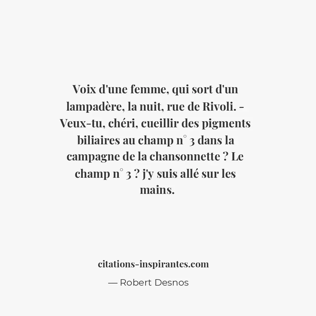 Citation de Robert Desnos