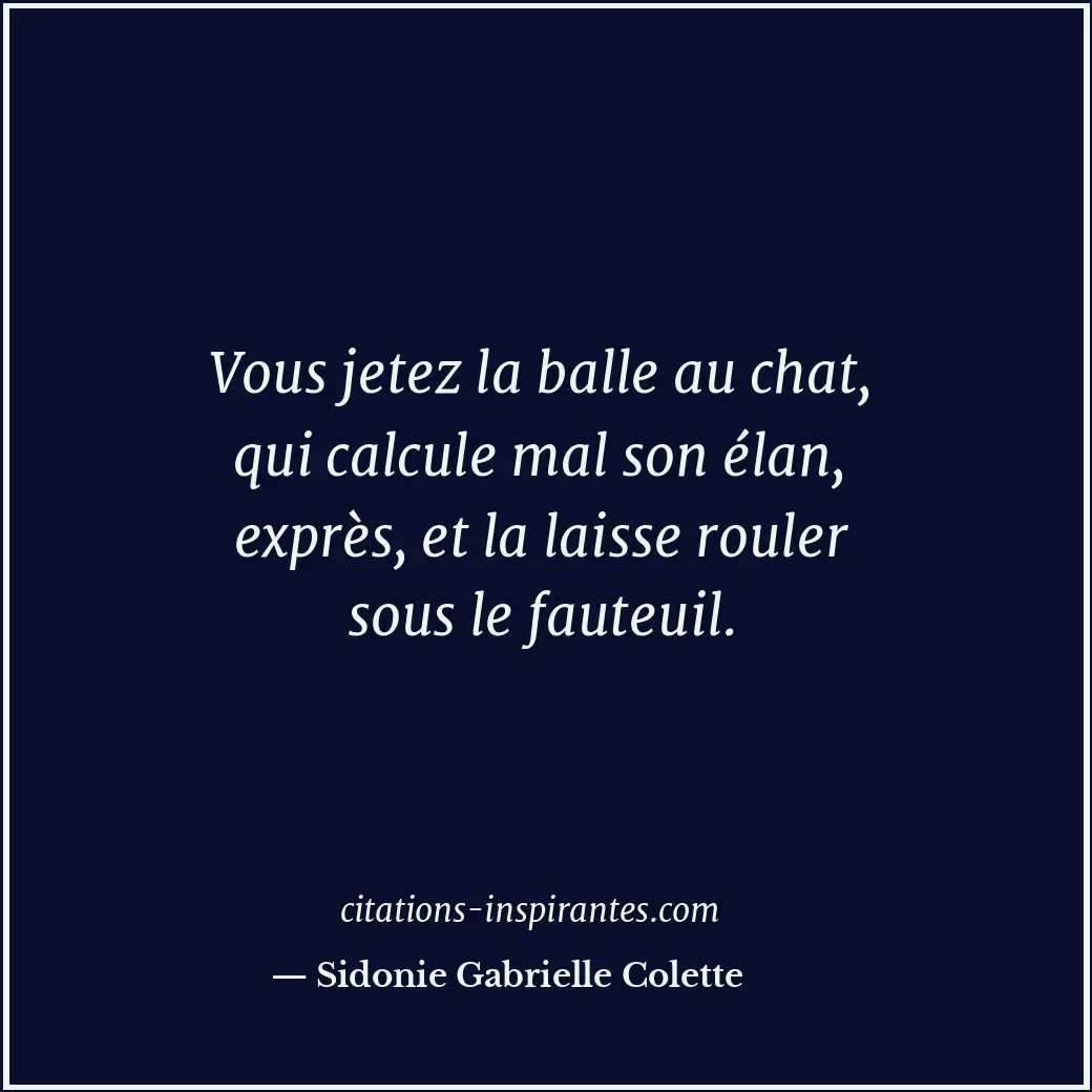 Vous jetez la balle au chat, qui calcule mal son élan, exprès, et la laisse roul... Citation de Sidonie Gabrielle Colette