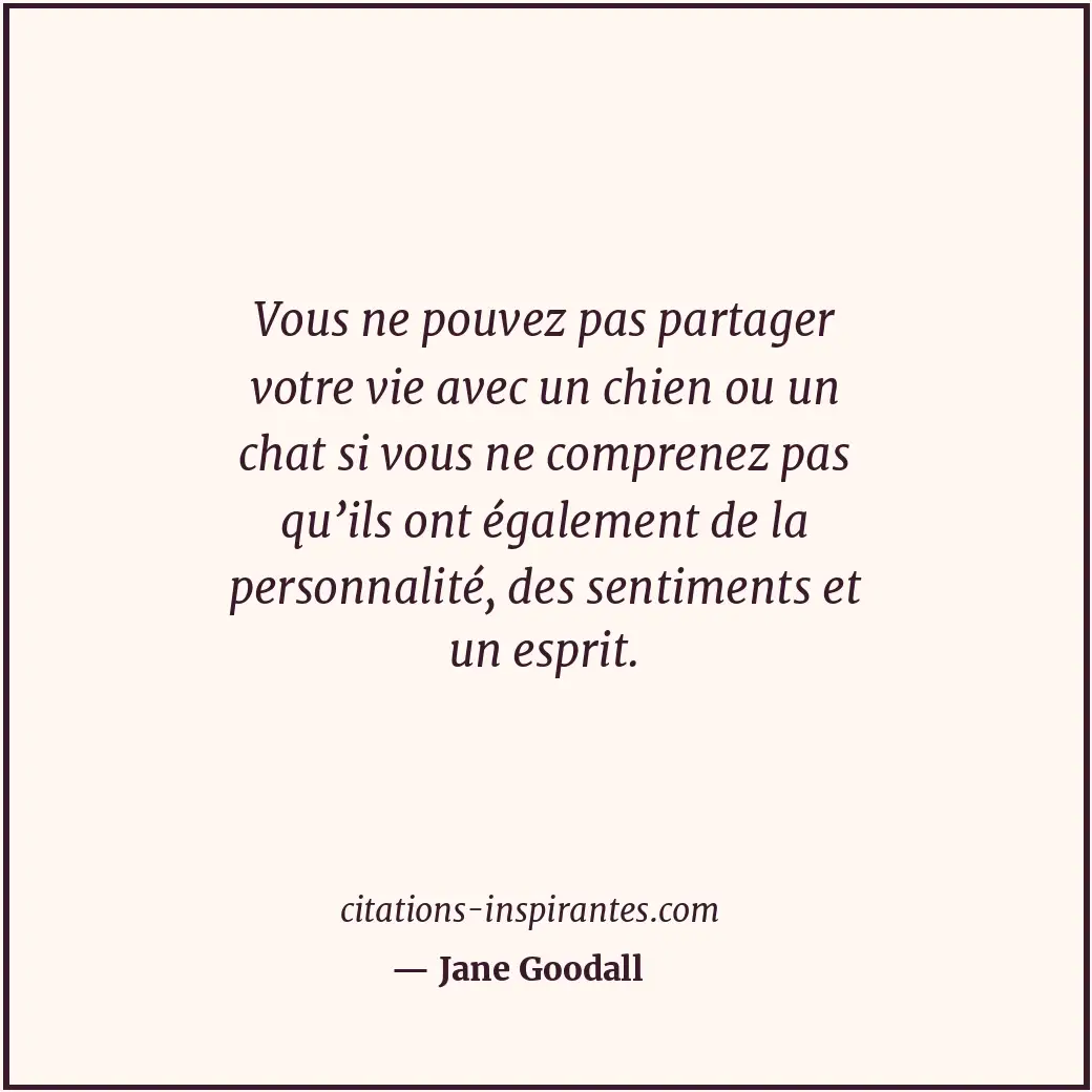 Citation de Jane Goodall