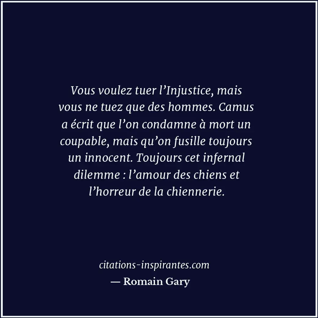 Citation de Romain Gary