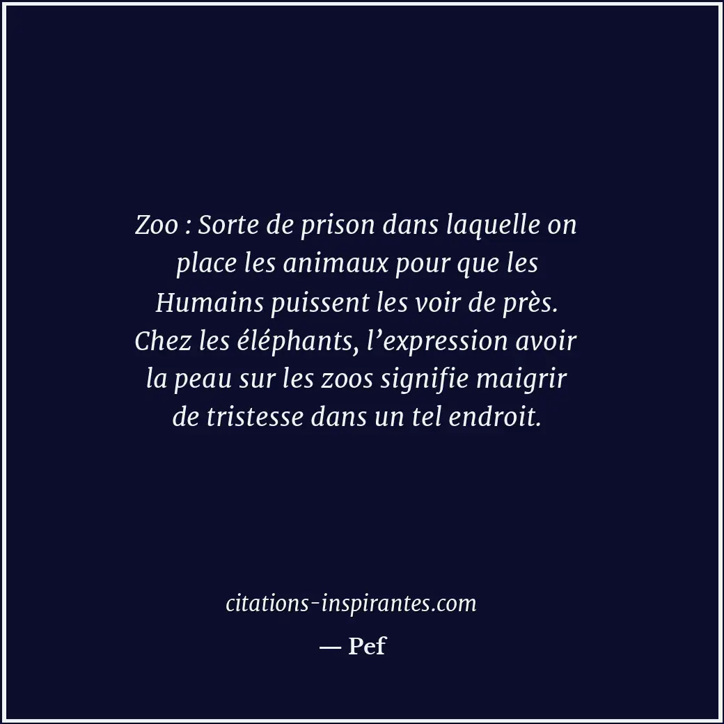 Zoo : Sorte de prison dans laquelle on place les animaux pour que les Humains pu... Citation de Pef